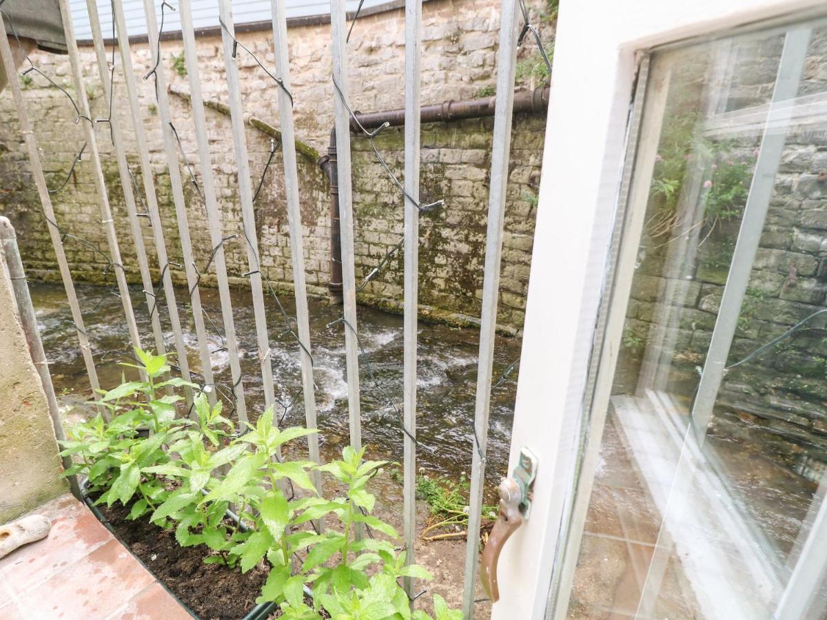 Riverdance Cottage Lyme Regis Exteriér fotografie